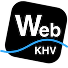WebKHV: Модуль корректировки Честного Знака