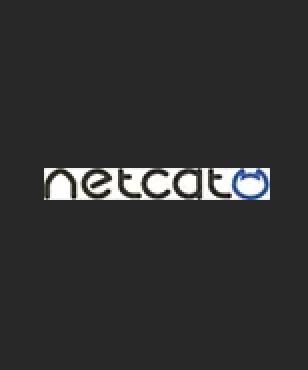 Партнер Netcat