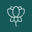 Team-B — Цветы сайт с каталогом товаров